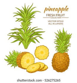 pineapple vector set