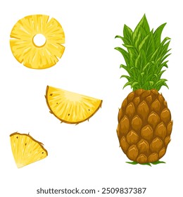 Conjunto de vetores de ananás. Desenhado à mão ilustração de desenho animado de todo, metade, círculo e fatia de ananas. Design de impressão tropical para menu, festa de verão, adesivos, produtos de beleza, comida sobre fundo branco