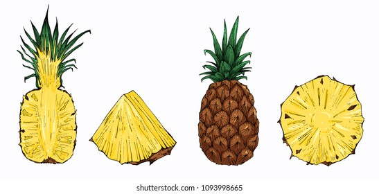 Pineapple vector set, whole and sliced