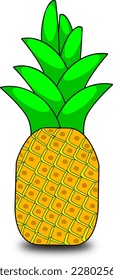 Pineapple vector. Tropical fresh  fruit pineapple illustration in cartoon style.