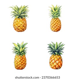 Pineapple vector watercolor illustration set, Pineapple 3D realistic icon