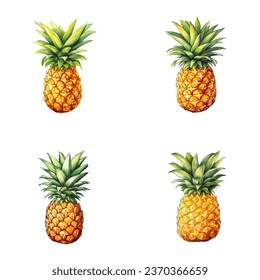Pineapple vector watercolor illustration set, Pineapple 3D realistic icon