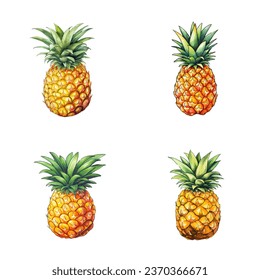 Pineapple vector watercolor illustration set, Pineapple 3D realistic icon
