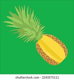 Pineapple Vectors  Illustrations Artwork.This is an editable and printable vector eps file.