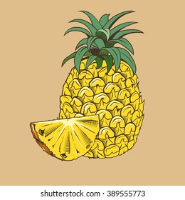 Pineapple in vintage style. Colored vector illustration