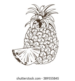 Pineapple in vintage style. Line art vector illustration