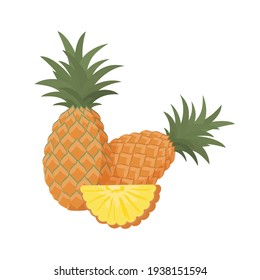 Pineapple, vitamin C source. Dietetic, vegetarian and healthy  food composition. Trendy vector illustration, isolated on white. Good for web and print