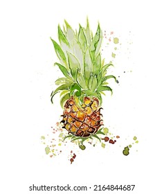 Pineapple watercolor object. Vector illustration
