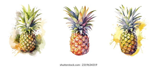 Pineapple, watercolor painting style illustration. Vector set.