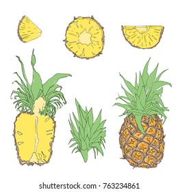 Pineapple. Whole pineapple, ananas and parts, leaves, slices, core. Set of fruits. Flat design graphic elements. Vector illustration isolated on white background