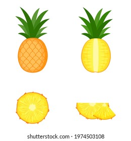 Pineapple, whole fruit, half and slices, vector illustration