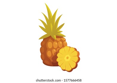 Pineapple whole and half vector illustration background. Summer colorful tropical exotic fruit