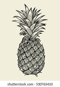 Pineapplefruit. Hand drawn vector sketch on beige