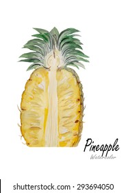 Pineapple.Hand drawn watercolor painting on white background.Vector illustration