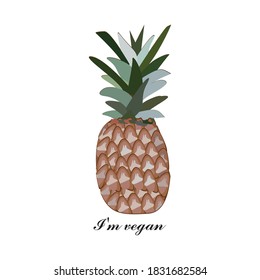 Pineapple.Large ripe pineapple.drawn in a vector.isolated on a white background.