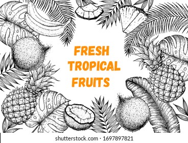 Pineapples, banana, coconut and tropical leaves design template. Hand drawn vector tropical fruit illustration. Engraved style fruit banner. Vintage botanical frame.