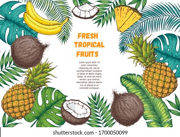 Pineapples, banana, coconut and tropical leaves design template. Hand drawn vector tropical fruit illustration. Color style fruit banner. Cartoon botanical frame.