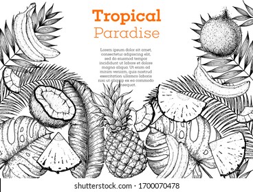 Pineapples, banana, coconut and tropical leaves design template. Hand drawn vector tropical fruit illustration. Engraved style fruit banner. Vintage botanical frame.