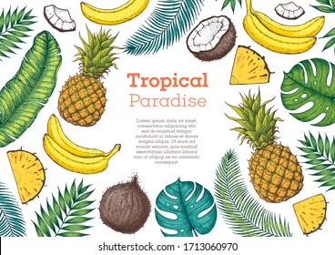 Pineapples, banana, coconut and tropical leaves design template. Hand drawn vector tropical fruit illustration. Color style fruit banner. Cartoon botanical frame.