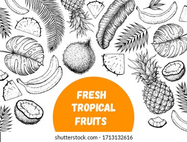 Plano de diseño de piñas, plátanos, coco y hojas tropicales. Cartel botánico vintage. Dibujo de frutas exóticas vectorial dibujado a mano. Marco de fruta de estilo grabado. 