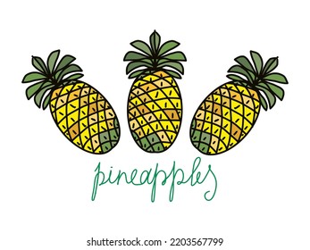 Pineapples, colored freehand drawing, with a black stroke, fruits and the word on a transparent background