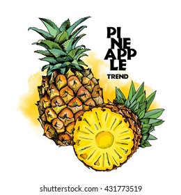 Pineapples fruit in color. Vector illustration.