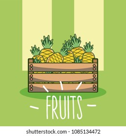 Pineapples fruits cartoon