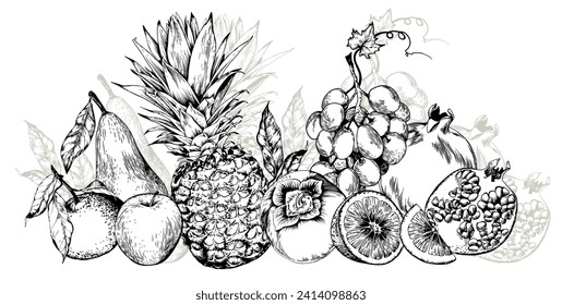 Avena, uva, granadas y frutas dulces, disposición horizontal. Ilustración vectorial dibujada a mano en blanco y negro.