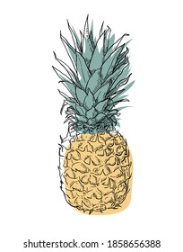 Pineapples are hard, pointed leaves and beautifully textured rinds, sweet and refreshing.