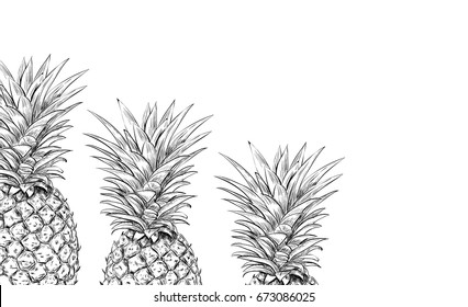 Pineapples on a white background for printing. Modern Design in Scandinavian style. Sketch three pineapples