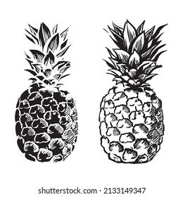 Ananas Silhouetten einer exotischen Frucht. Frische Vitamine.Schwarz-Weiß-Illustration Ananas zum Druck .