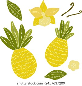 Pineapples. Tropical exotic set. Texture vector elements