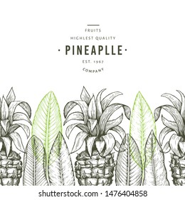Pineapples and tropical leaves design template. Hand drawn vector tropical fruit illustration. Engraved style ananas fruit banner. Vintage botanical frame.