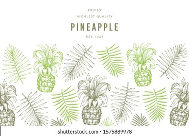 Pineapples and tropical leaves design template. Hand drawn vector tropical fruit illustration. Engraved style ananas fruit banner. Vintage botanical cover.