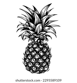 Pineapple-summer and tropical fruit. Black sketch silhouette. Hand drawing, black and white illustration. Vector on white isolated background. Good for packaging, logo, and decor.