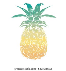 pineapple-vector illustration