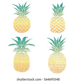 Pineapplevector Illustration Stock Vector (Royalty Free) 564695548 ...