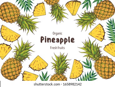 Pineappple hand drawn package design. Pineapple frame template. Vector illustration. Pineapple for menu design, brochure illustration Colorful design. Pattern illustration. Can used for package