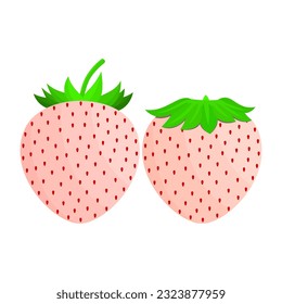 Pineberry Fruit Is A Fruit That Has A Sweet, Slightly Sour And Fresh Taste. This Fruit Usually Grows In The Americas And Europe