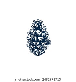 Pinecone botanical hand drawn Isolated vector illustration. Cone sketch template for card design Christmas invitation, packaging, label, poster, party, holiday decor. Engraving style banner