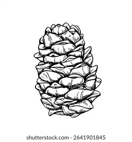 Pinecone or cedar cone monochrome vector illustration painted by black inks. Etching drawing of Christmas decoration symbol for nature designs, winter holiday decor, and rustic botanical branding.