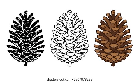 Pinecone Illustrations Black Silhouette Line Art And Color Version