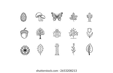 Pinecone cogumelo borboleta folha cactus bolota joaninha tulipa flor ramo carvalho vetor