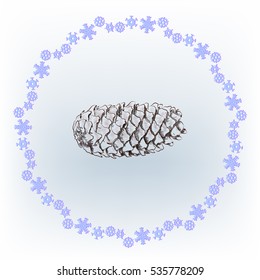 pinecone on a blue background, vector illustration