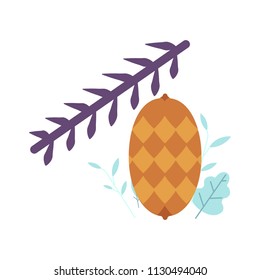 Pinecone on spruce, pine or fir tree branch. Symbol of christmas, new year holiday. Xmas seasonal forest decoration, natural hand drawn icon. Vector isolated illustration.