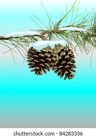 pinecone and pine branches with snow - vector illustration