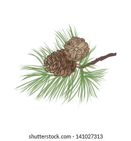 1,941 Drawings Of Pine Needle Frames Images, Stock Photos & Vectors ...