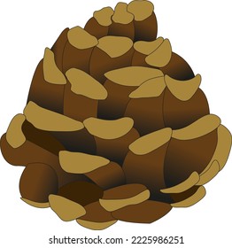 Pinecone Vector. Christmas Nature Concept