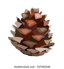 pinecone, vector graphic