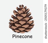 Pinecone Vector Illustration with Rustic Charm